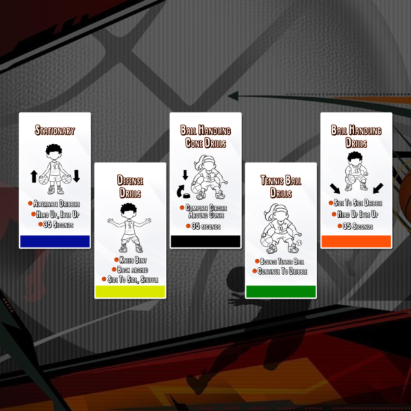 Flash Cards Video Training